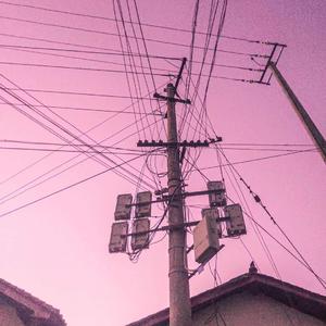 日本一区二区的视频
