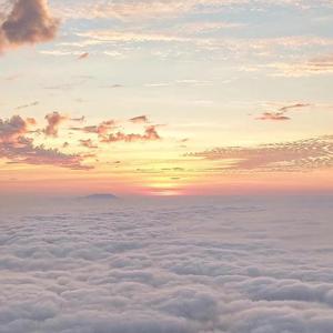 日本一区二区的视频
