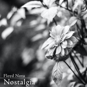 日本一区二区的视频
